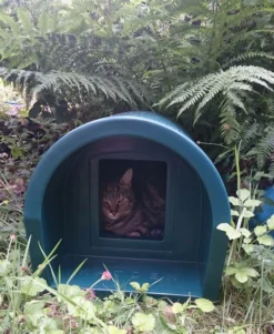Mr Snugs Katden Outdoor Cat Kennel - Dark Green 20 Mr Snugs Katden Outdoor Cat Kennel - Dark Green -Almo naturer Shop 1231022046green katden 1