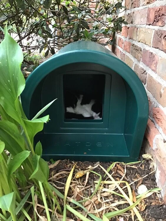 Mr Snugs KatDen Outdoor Cat Kennel/Shelter - Dark Green (Various Options) 6 Mr Snugs KatDen Outdoor Cat Kennel/Shelter - Dark Green (Various Options) - Image 6