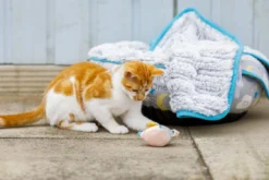 Petface Little Petface Cat Donut -Almo naturer Shop 60c080e2e5f896.84162551