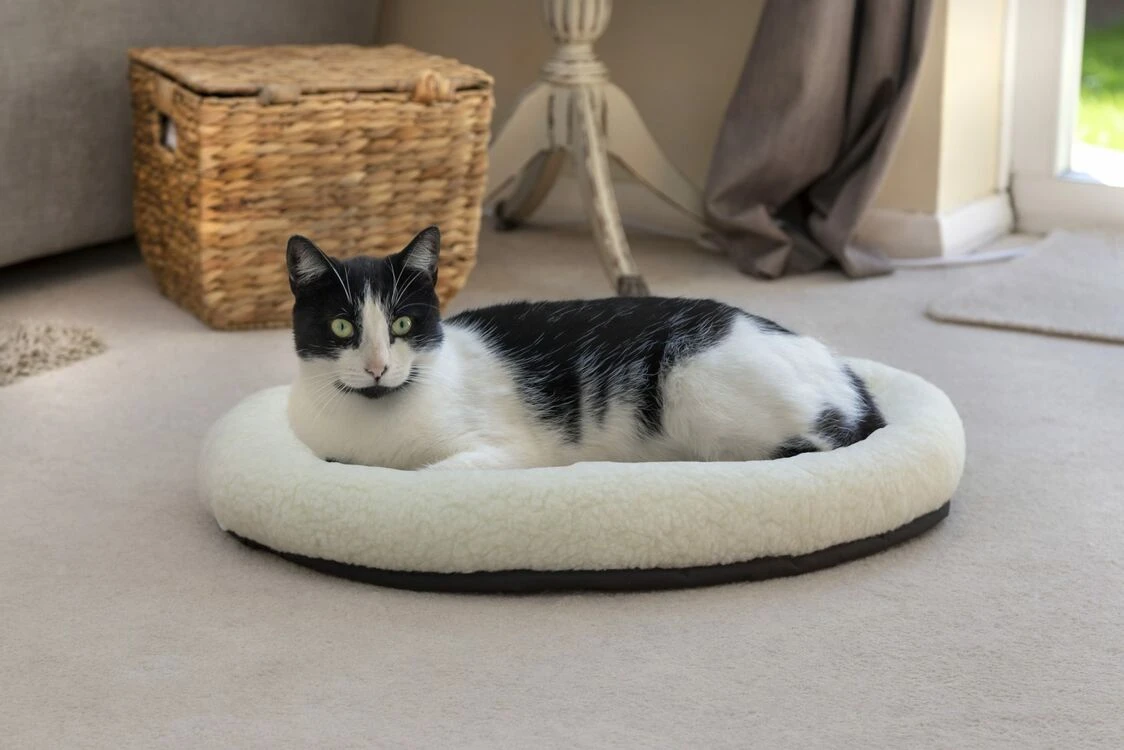 High Quality Mikki Cat Snoozer 2 High Quality Mikki Cat Snoozer - Image 2