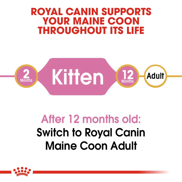 ROYAL CANIN® Maine Coon Kitten Dry Food 8 ROYAL CANIN® Maine Coon Kitten Dry Food - Image 8