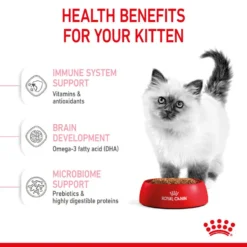 ROYAL CANIN® Kitten Dry Food -Almo naturer Shop bscxrkjpj9rpxloqerpo