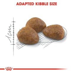 ROYAL CANIN® Outdoor Active 7+ Adult Dry Cat Food 15 ROYAL CANIN® Outdoor Active 7+ Adult Dry Cat Food -Almo naturer Shop coffe6juhzjyjvl4urr3