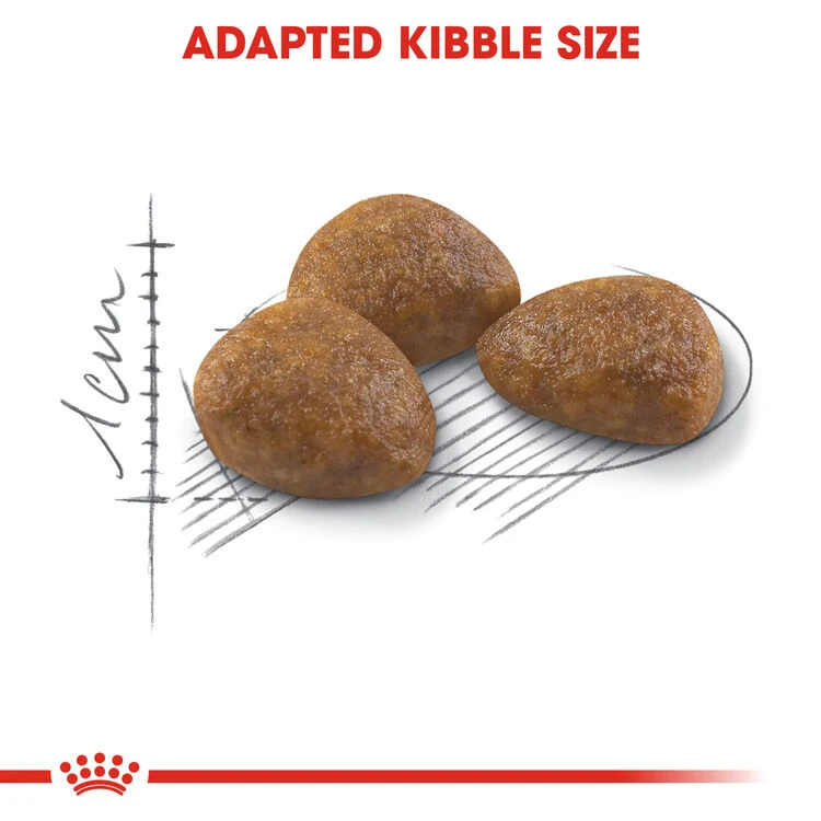 ROYAL CANIN® Outdoor Active 7+ Adult Dry Cat Food 7 ROYAL CANIN® Outdoor Active 7+ Adult Dry Cat Food - Image 7