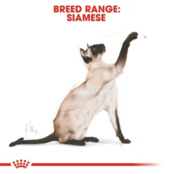 ROYAL CANIN® Siamese Adult Dry Cat Food -Almo naturer Shop doewjexhroxorqjqjsz9