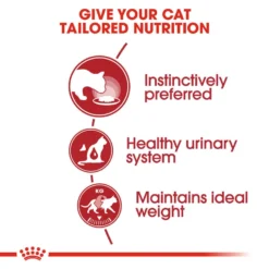 ROYAL CANIN® Instinctive In Jelly Adult Wet Cat Food -Almo naturer Shop dxebwdqkqocdb4unuiz8