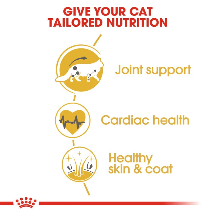 ROYAL CANIN® Maine Coon Adult Dry Cat Food 7 ROYAL CANIN® Maine Coon Adult Dry Cat Food - Image 7