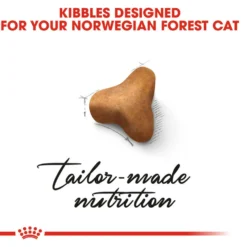 ROYAL CANIN® Norwegian Forest Adult Dry Cat Food -Almo naturer Shop h4vwplbbguxvxbanxktv