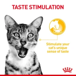 ROYAL CANIN® Sensory Taste In Jelly Adult Wet Cat Food 13 ROYAL CANIN® Sensory Taste In Jelly Adult Wet Cat Food -Almo naturer Shop hwugo48zvdg3masdjkvr 1