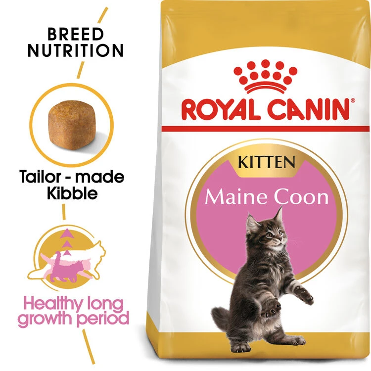ROYAL CANIN® Maine Coon Kitten Dry Food 2 ROYAL CANIN® Maine Coon Kitten Dry Food - Image 2