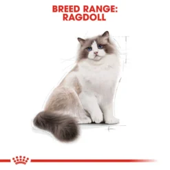 ROYAL CANIN® Ragdoll Adult Dry Cat Food 15 ROYAL CANIN® Ragdoll Adult Dry Cat Food -Almo naturer Shop iy7ucvk13szwp9lafavd