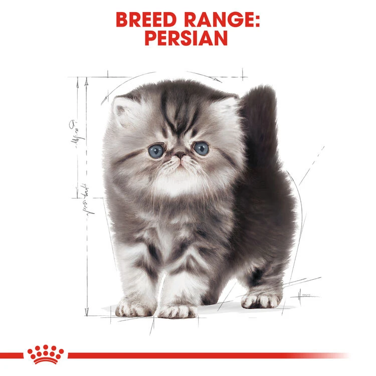 ROYAL CANIN® Persian Kitten Dry Food 9 ROYAL CANIN® Persian Kitten Dry Food - Image 9