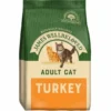 James Wellbeloved Adult Turkey Dry Cat Food