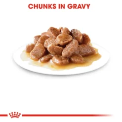 ROYAL CANIN® Instinctive In Gravy Adult Wet Cat Food -Almo naturer Shop l2wafjrlnt7aufieij00 3