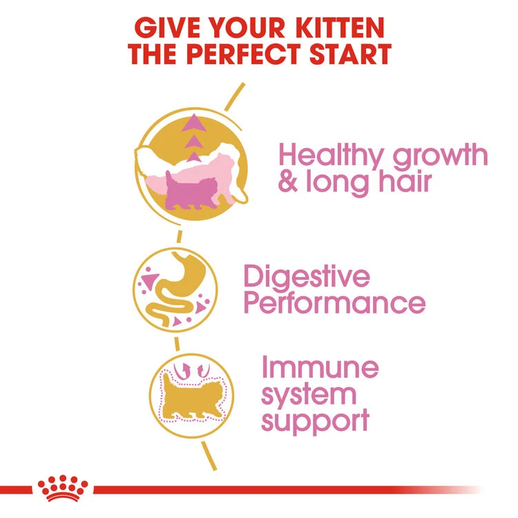 ROYAL CANIN® Persian Kitten Dry Food 7 ROYAL CANIN® Persian Kitten Dry Food - Image 7