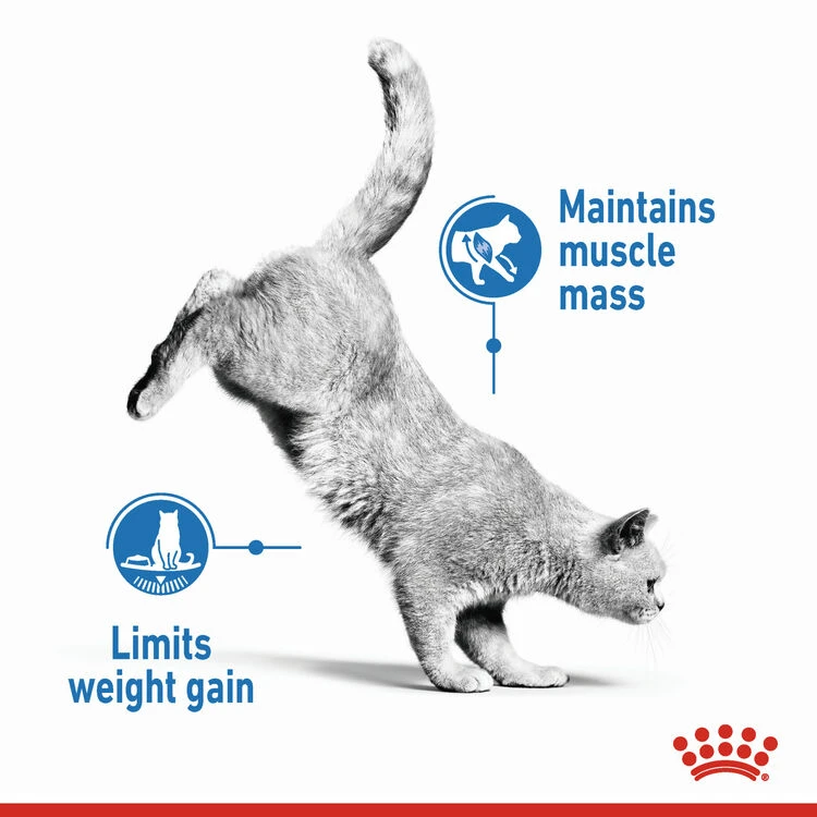 ROYAL CANIN® Light Weight Care In Jelly Adult Wet Cat Food 4 ROYAL CANIN® Light Weight Care In Jelly Adult Wet Cat Food - Image 4