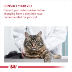 ROYAL CANIN® Intense Beauty Care In Jelly Adult Wet Cat Food 17 ROYAL CANIN® Intense Beauty Care In Jelly Adult Wet Cat Food -Almo naturer Shop lox5h25zciaapyfqqpgo 2