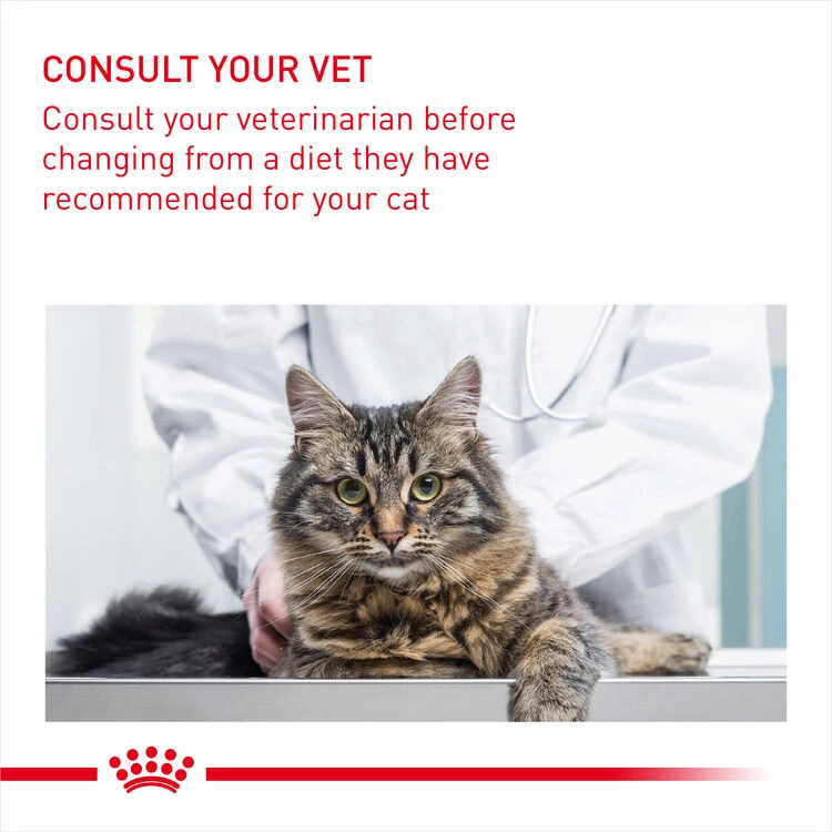 ROYAL CANIN® Urinary Care In Gravy Adult Wet Cat Food 9 ROYAL CANIN® Urinary Care In Gravy Adult Wet Cat Food - Image 9