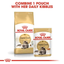 ROYAL CANIN® Maine Coon Adult Dry Cat Food 12 ROYAL CANIN® Maine Coon Adult Dry Cat Food -Almo naturer Shop lxdppgtzrhaviv9j1kho