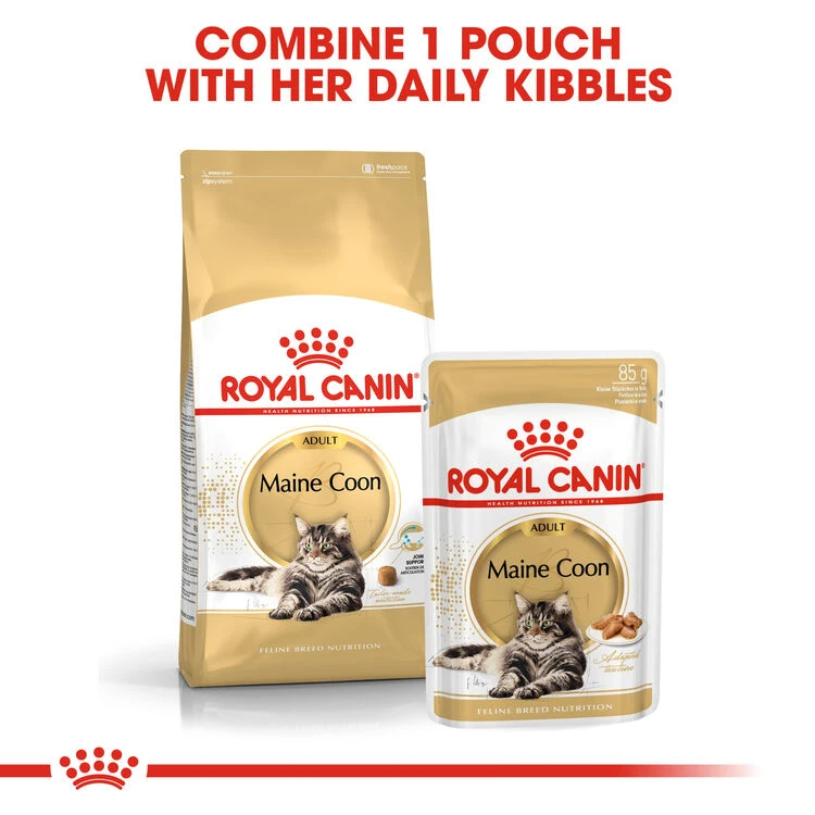 ROYAL CANIN® Maine Coon Adult Dry Cat Food 5 ROYAL CANIN® Maine Coon Adult Dry Cat Food - Image 5