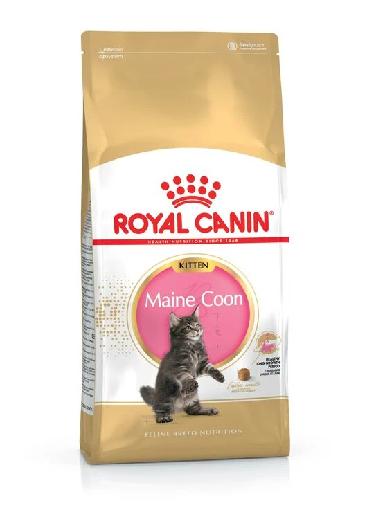 ROYAL CANIN® Maine Coon Kitten Dry Food 1 ROYAL CANIN® Maine Coon Kitten Dry Food