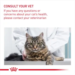 ROYAL CANIN® Oral Care Adult Dry Cat Food 15 ROYAL CANIN® Oral Care Adult Dry Cat Food -Almo naturer Shop mkawaklaiteu3qlaeddq 2