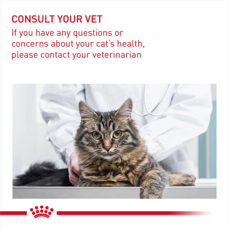 ROYAL CANIN® Light Weight Care In Gravy Adult Wet Cat Food 10 ROYAL CANIN® Light Weight Care In Gravy Adult Wet Cat Food - Image 10