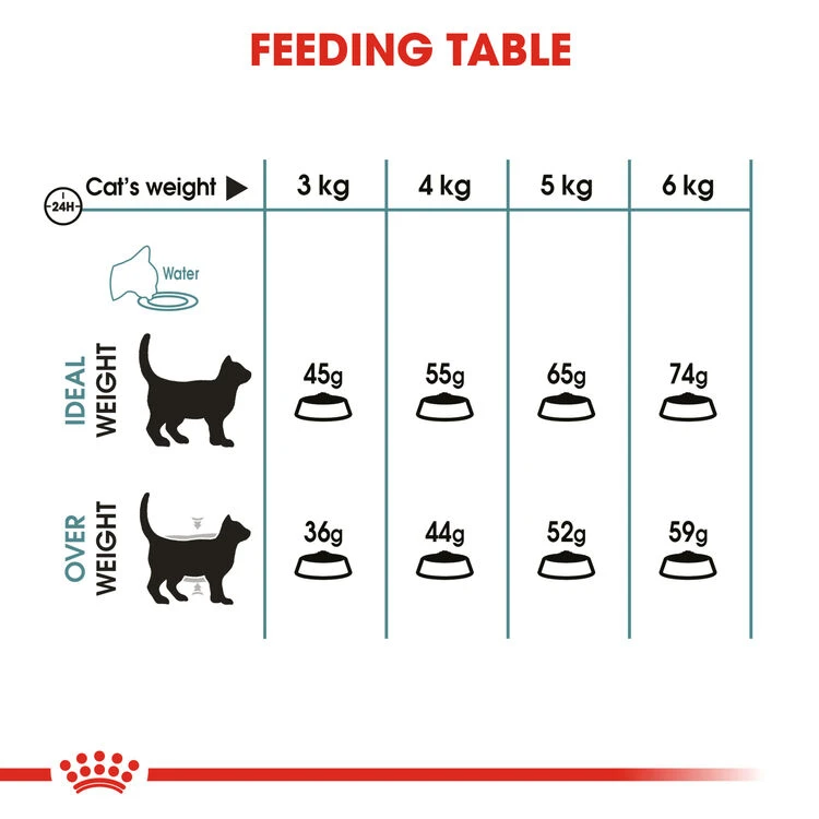 ROYAL CANIN® Hairball Care Adult Dry Cat Food 5 ROYAL CANIN® Hairball Care Adult Dry Cat Food - Image 5