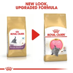 ROYAL CANIN® British Shorthair Kitten Dry Food -Almo naturer Shop nildqxbrqmyzdhpz8gvf