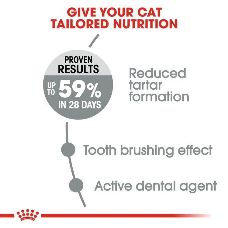 ROYAL CANIN® Oral Care Adult Dry Cat Food 7 ROYAL CANIN® Oral Care Adult Dry Cat Food - Image 7