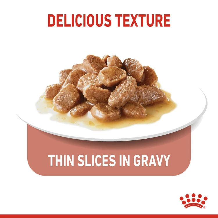 ROYAL CANIN® Light Weight Care In Gravy Adult Wet Cat Food 6 ROYAL CANIN® Light Weight Care In Gravy Adult Wet Cat Food - Image 6