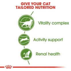 ROYAL CANIN® Outdoor Active 7+ Adult Dry Cat Food 16 ROYAL CANIN® Outdoor Active 7+ Adult Dry Cat Food -Almo naturer Shop nslru6anjblzntbg3gms