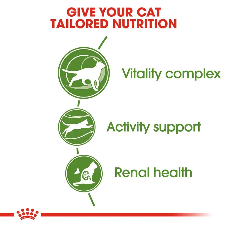 ROYAL CANIN® Outdoor Active 7+ Adult Dry Cat Food 8 ROYAL CANIN® Outdoor Active 7+ Adult Dry Cat Food - Image 8
