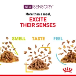 ROYAL CANIN® Sensory Taste In Jelly Adult Wet Cat Food 14 ROYAL CANIN® Sensory Taste In Jelly Adult Wet Cat Food -Almo naturer Shop po3sktkdtt4qvcqggncd 1