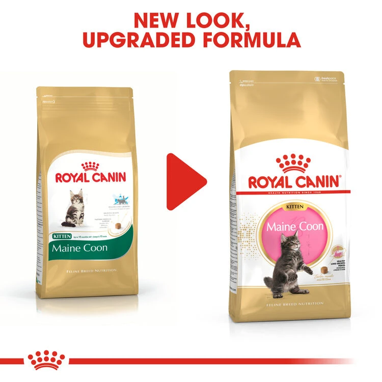 ROYAL CANIN® Maine Coon Kitten Dry Food 3 ROYAL CANIN® Maine Coon Kitten Dry Food - Image 3