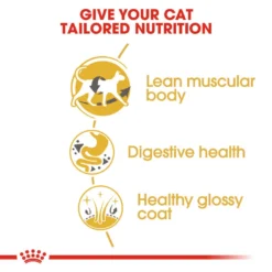 ROYAL CANIN® Siamese Adult Dry Cat Food -Almo naturer Shop ppa5kebnlhm2ttj2inmo