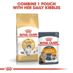 ROYAL CANIN® Norwegian Forest Adult Dry Cat Food -Almo naturer Shop qostza8x8wddsjee4hx5