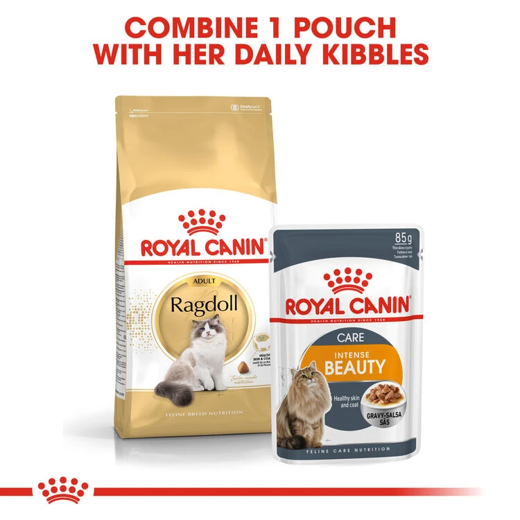 ROYAL CANIN® Ragdoll Adult Dry Cat Food 5 ROYAL CANIN® Ragdoll Adult Dry Cat Food - Image 5