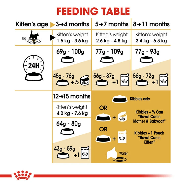 ROYAL CANIN® Maine Coon Kitten Dry Food 5 ROYAL CANIN® Maine Coon Kitten Dry Food - Image 5