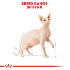 ROYAL CANIN® Sphynx Adult Dry Cat Food -Almo naturer Shop rtka6br4s8us8hrmdsud
