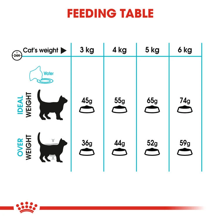 ROYAL CANIN® Urinary Care Adult Dry Cat Food 5 ROYAL CANIN® Urinary Care Adult Dry Cat Food - Image 5