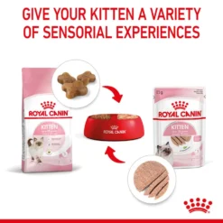 ROYAL CANIN® Kitten In Loaf Wet Food -Almo naturer Shop tkfdniuo5y3duqezn5ji