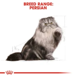 ROYAL CANIN® Persian Adult Dry Cat Food -Almo naturer Shop uifu0soflt9ybf0iumu1