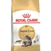 ROYAL CANIN® Maine Coon Adult Dry Cat Food