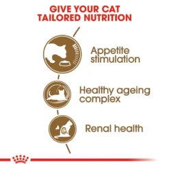 ROYAL CANIN® Senior Ageing 12+ Adult Dry Cat Food 16 ROYAL CANIN® Senior Ageing 12+ Adult Dry Cat Food -Almo naturer Shop womg8axbi8qeyykpnlae