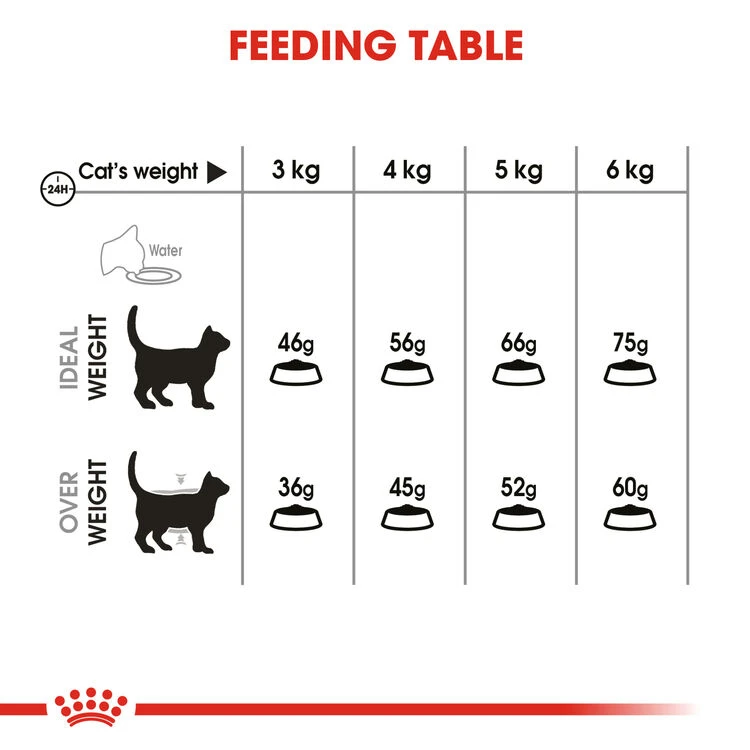 ROYAL CANIN® Oral Care Adult Dry Cat Food 5 ROYAL CANIN® Oral Care Adult Dry Cat Food - Image 5