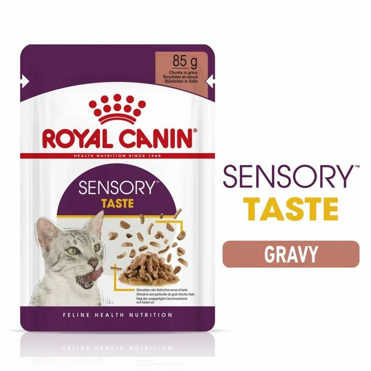 ROYAL CANIN® Sensory Taste In Gravy Adult Wet Cat Food 2 ROYAL CANIN® Sensory Taste In Gravy Adult Wet Cat Food - Image 2