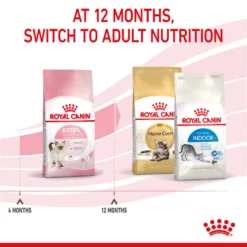 ROYAL CANIN® Kitten Dry Food -Almo naturer Shop ywxjftes4zehzjvaxevi